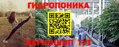шишки Беслан