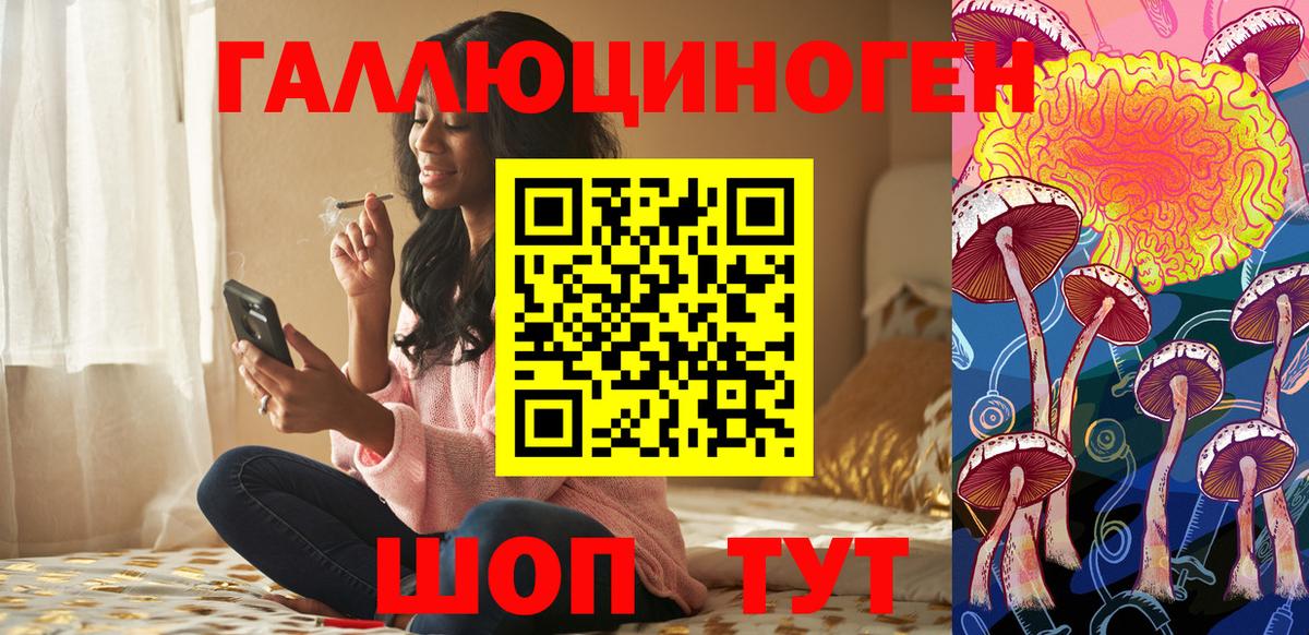 Псилоцибиновые грибы Psilocybine cubensis  Вход с VPN  Псилоцибиновые грибы ЛСД  Ковров 